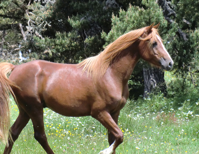 Les-Randonnées-Sauvages-de-l'Habitarelle-assouan