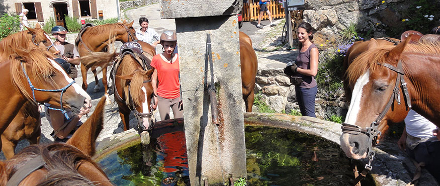 Les-Randonnées-Sauvages-de-l'Habitarelle-fontaine