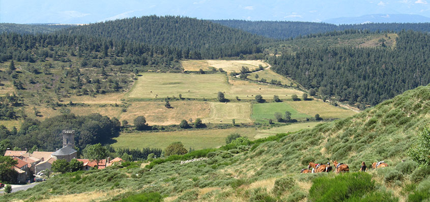 Les-Randonnées-Sauvages-de-l'Habitarelle-vue